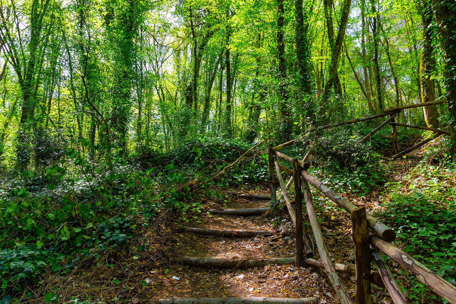 cratere-degli-astroni